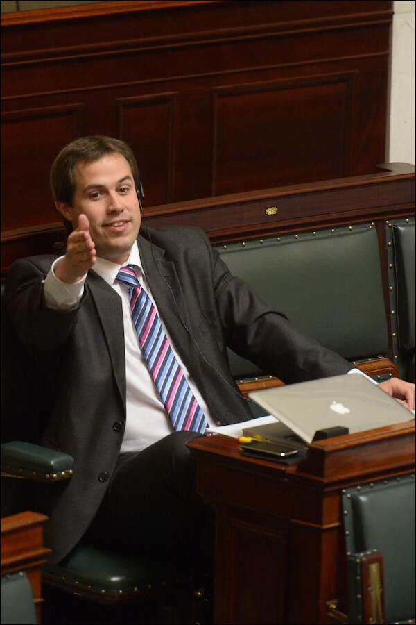 Laurent Louis, Bundesabgeordneter