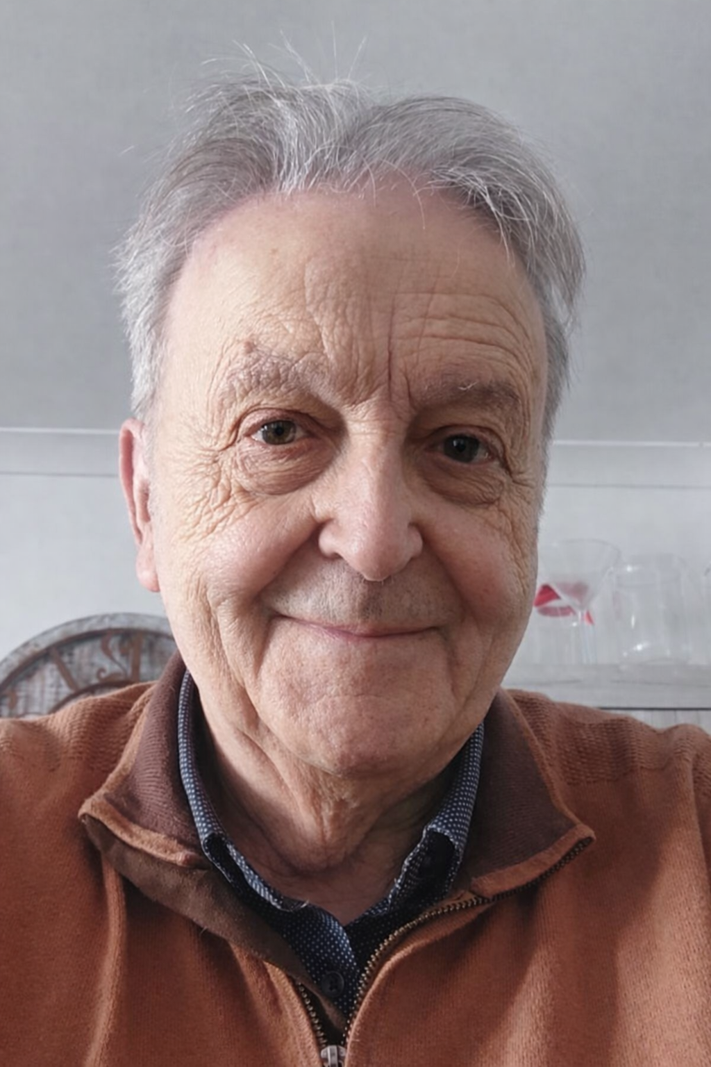 Ludo Vandormael
