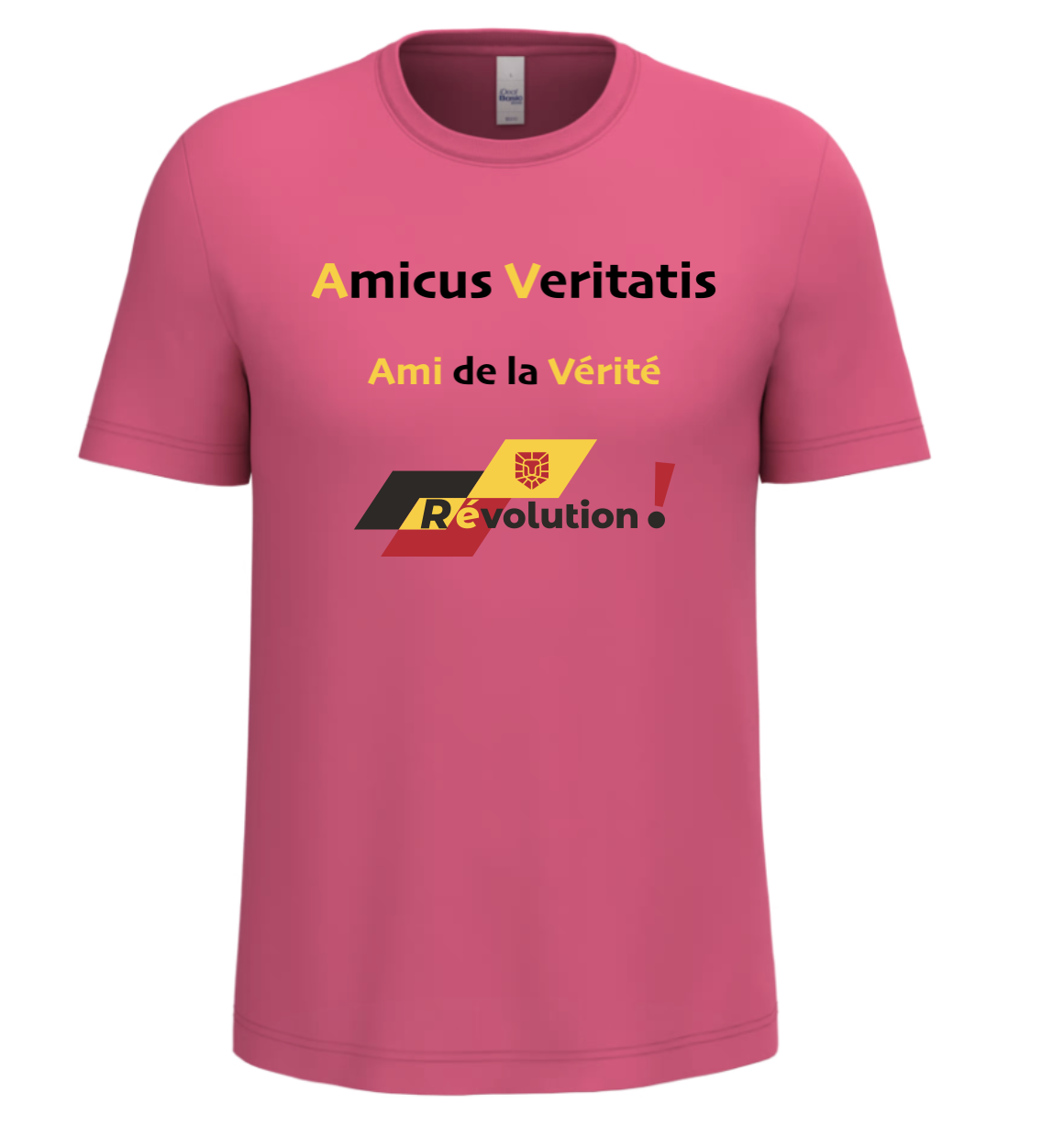T-Shirt "Amicus Veritatis"
